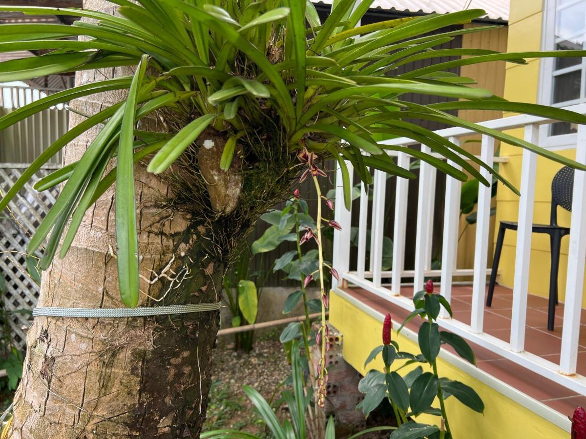 Tropical Garden Phu Quoc Daire Dış mekan fotoğraf